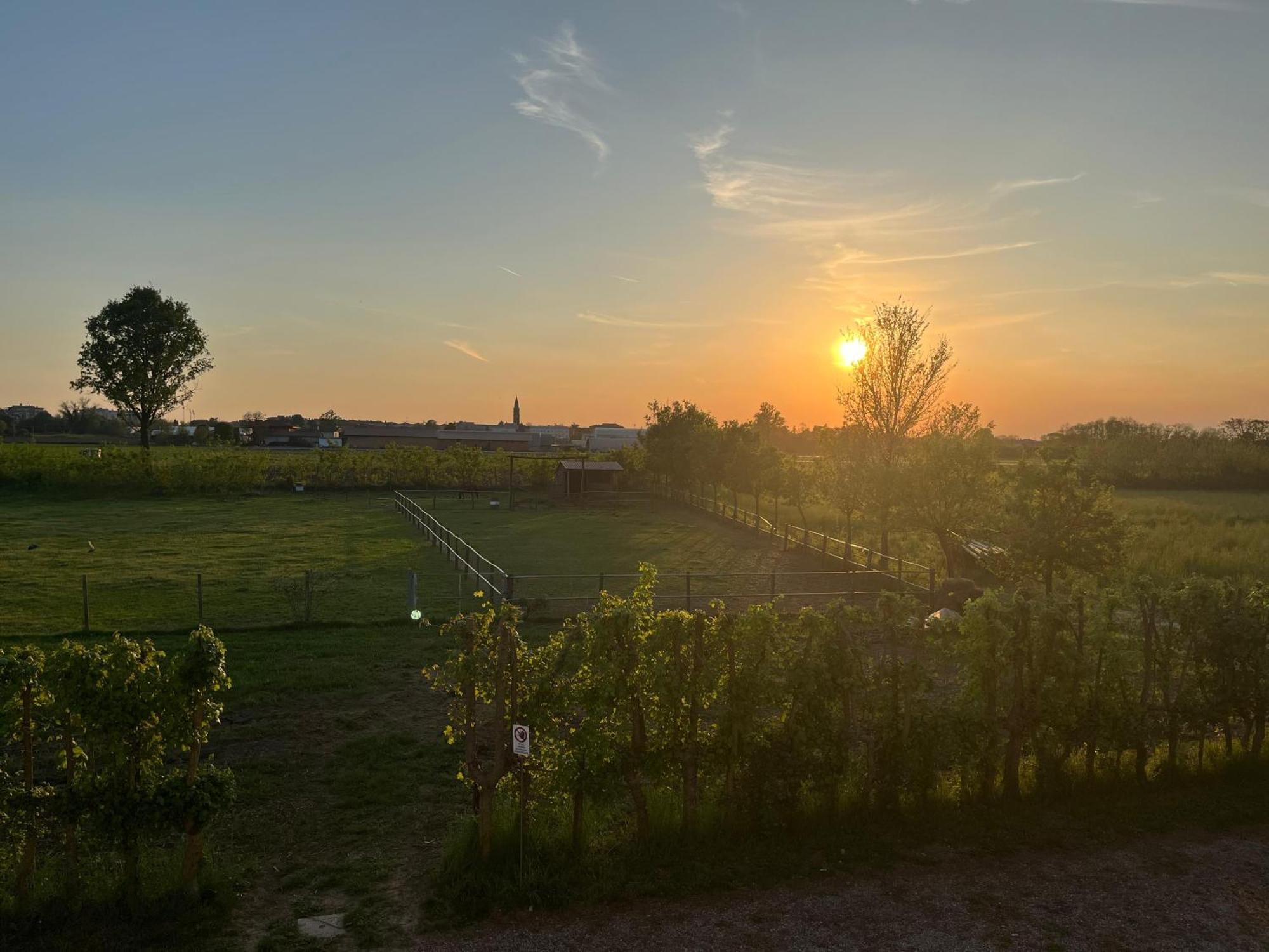 Agriturismo Al Botteniga Тревизо Экстерьер фото